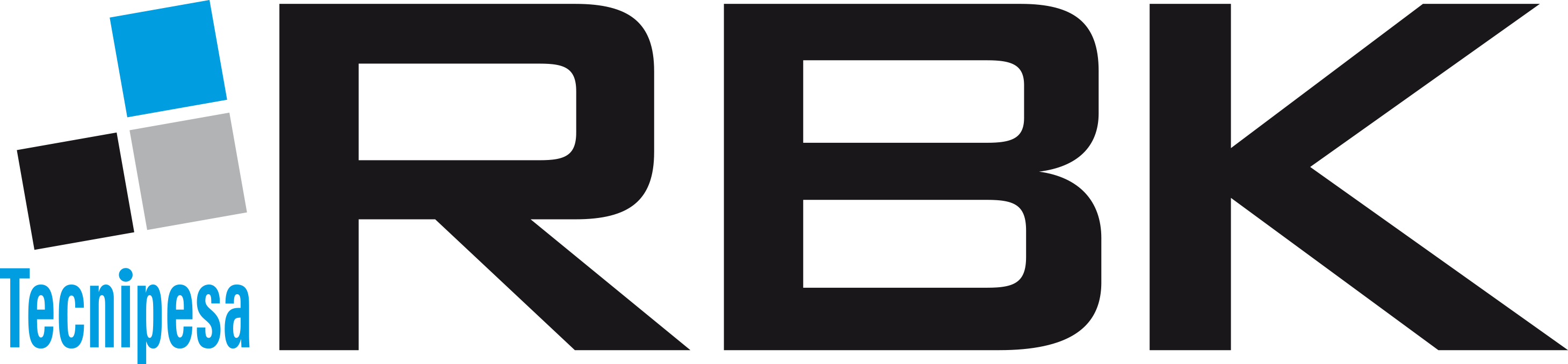 Tecnipesa RBK Warehouse Management System