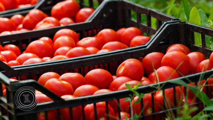 Etiquetas RFID para alimentación y otros productos perecederos